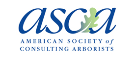 American Society of Consulting Arborists